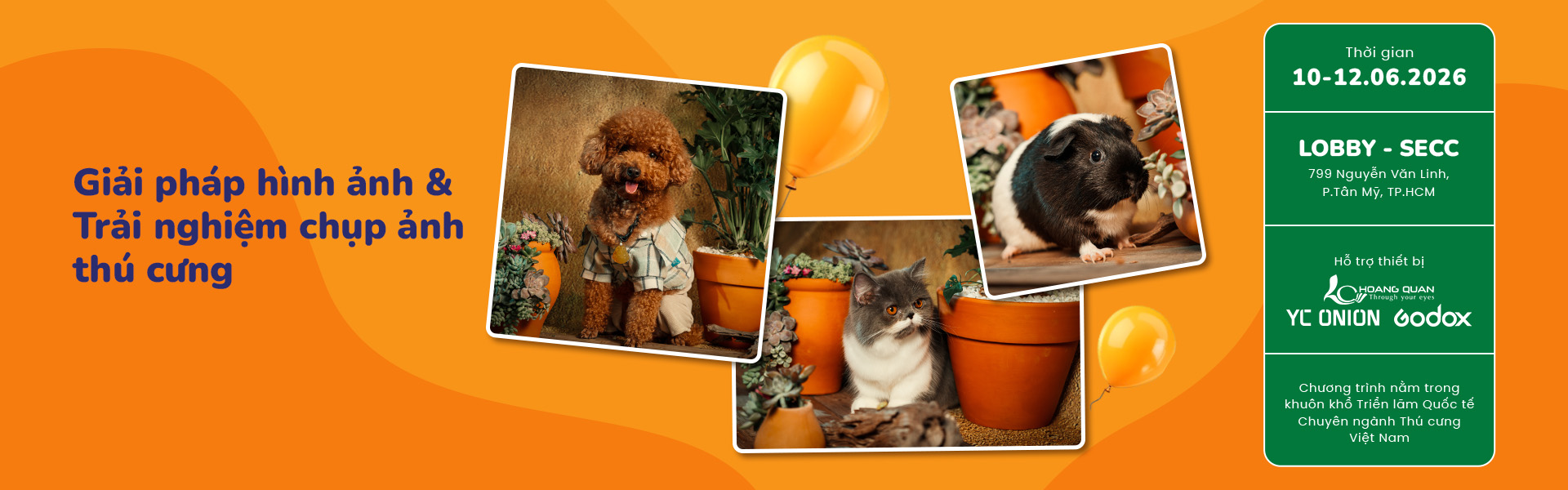 Desktop Banner